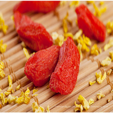 melhores frutos secos secos orgânicos goji berries lycium barbarum